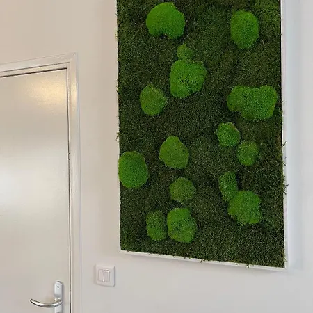 Apartment Viou